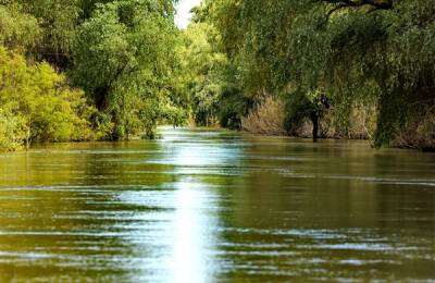Danube Delta