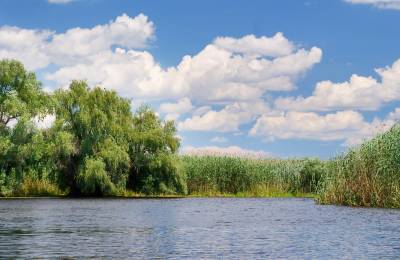 Danube Delta, Romania