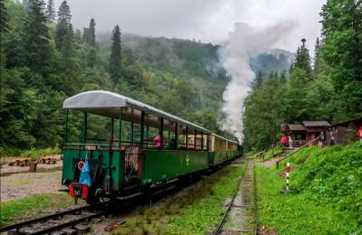 Vaser Valley steam train