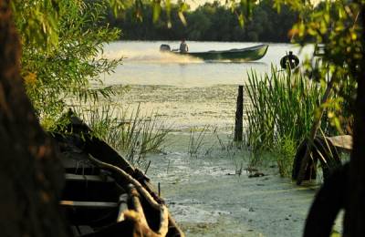 Danube Delta