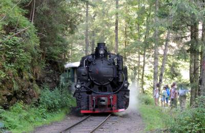 Vaser Valley steam train
