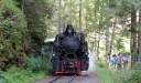 Vaser Valley steam train